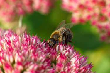 Similar image 10812761