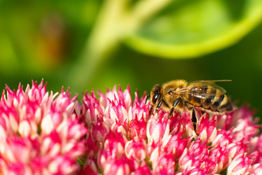 Similar image 10812766