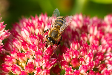 Similar image 10812768