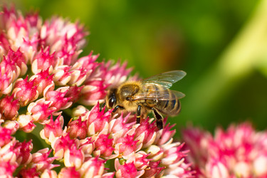 Similar image 10812772