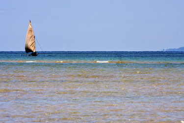 Similar image 10812773