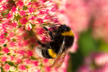 Similar image 10812776