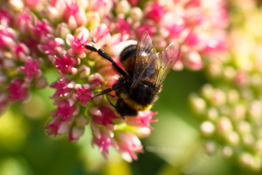 Similar image 10812777