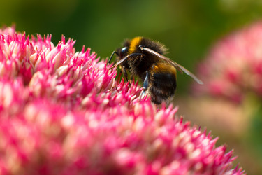 Similar image 10812779