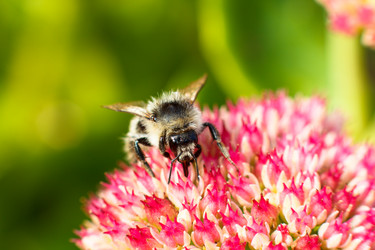 Similar image 10812780