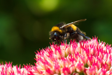 Similar image 10812782