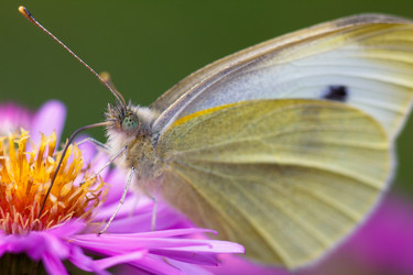 Similar image 10812785