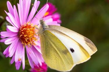 Similar image 10812835