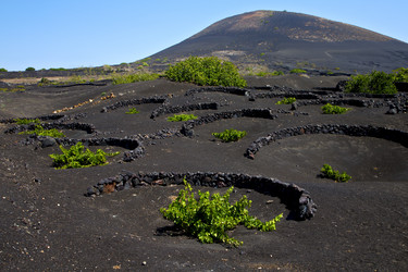 Similar image 10812833