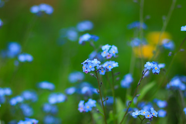 Similar image 10812839