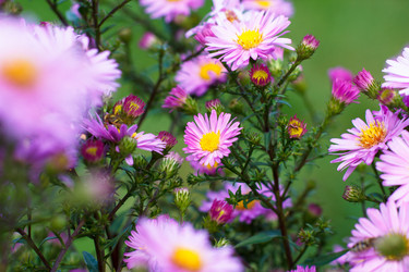 Similar image 10812842