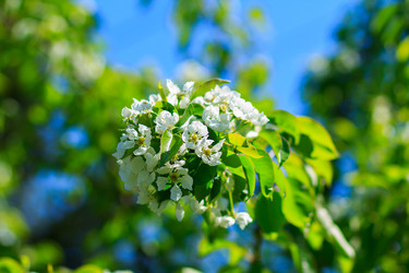 Similar image 10812841