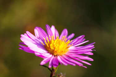 Similar image 10812845