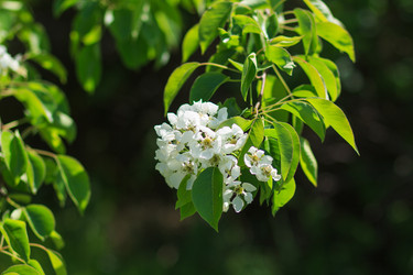 Similar image 10812844