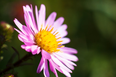 Similar image 10812846