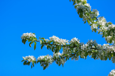 Similar image 10812847