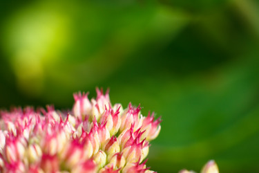 Similar image 10812850