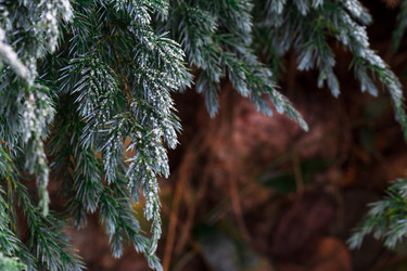 Similar image 10812853