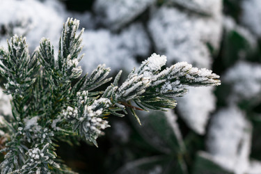 Similar image 10812856