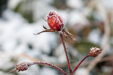 Similar image 10812857