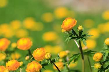 Similar image 10812887