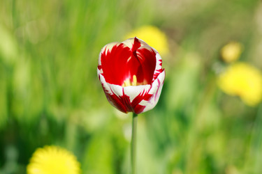 Similar image 10812889