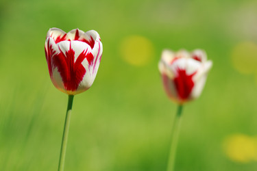 Similar image 10812891