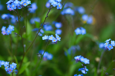 Similar image 10812892