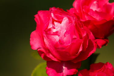 Similar image 10812897