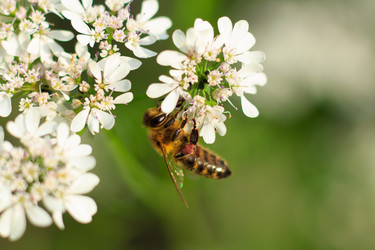 Similar image 10812899