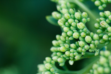 Similar image 10812901