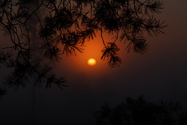 Similar image 10812906