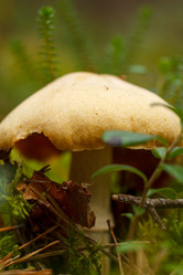 Similar image 10812916