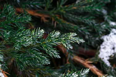 Similar image 10812920