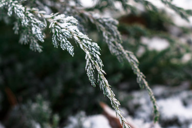 Similar image 10812922