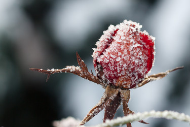 Similar image 10812924