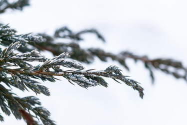 Similar image 10812967