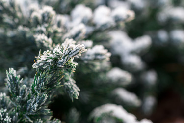 Similar image 10812969