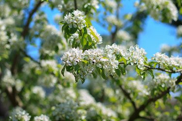 Similar image 10812972