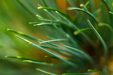 Similar image 10812975