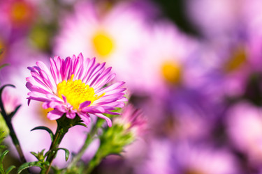 Similar image 10812977