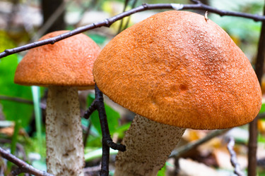 Similar image 10812979