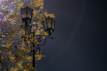 Similar image 10814023