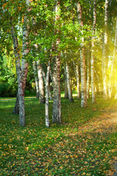 Similar image 10814159