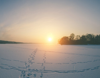 Similar image 10814364