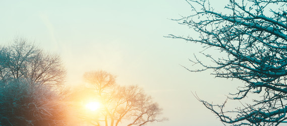 Similar image 10814371