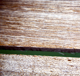 Similar image 10814448