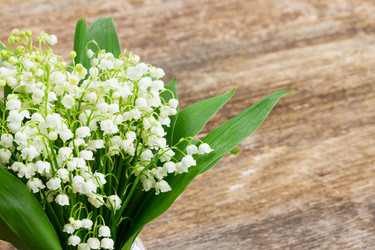 Similar image 10814464