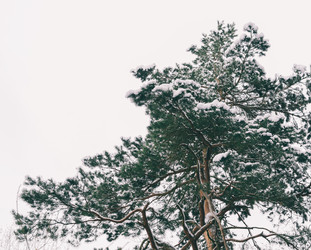 Similar image 10814526