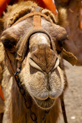 Similar image 10815319